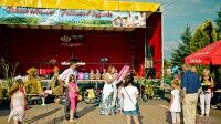 Piknik 2015 rok